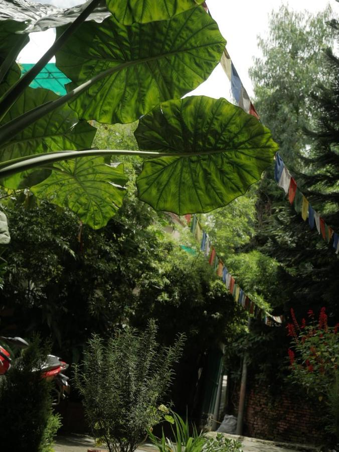 Nirvana Green Peace Home Káthmándú Exteriér fotografie